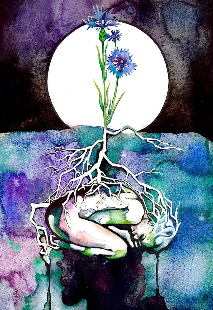Julia Freisleben: Cornflower, 2016