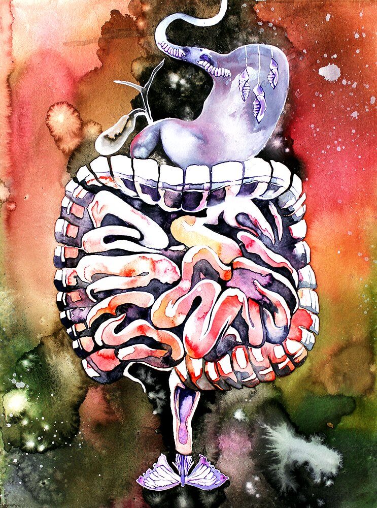 Julia Freisleben: Guts 3, 2016