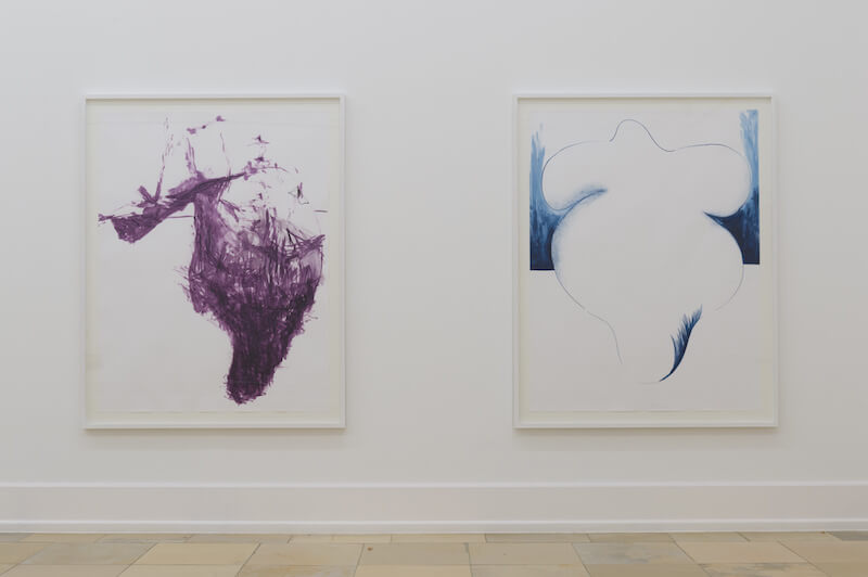Cleaning agent, 2017 Bbb (big busty butterfly), 2017 Tusche auf Paper/ink on paper, je 170 x 130 cm Courtesy der Künstler/the artist, Thomas Rehbein Galerie Foto/photo: Annette Kradisch, Nürnberg