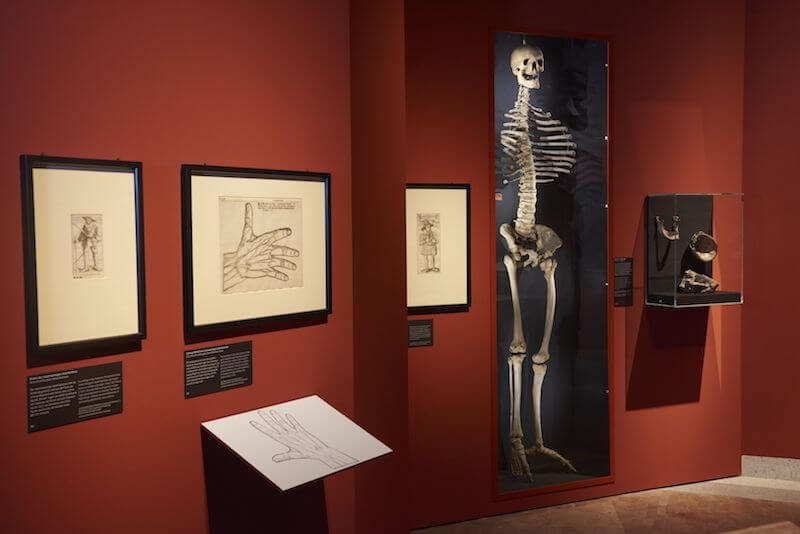 Blick in die Ausstellung
