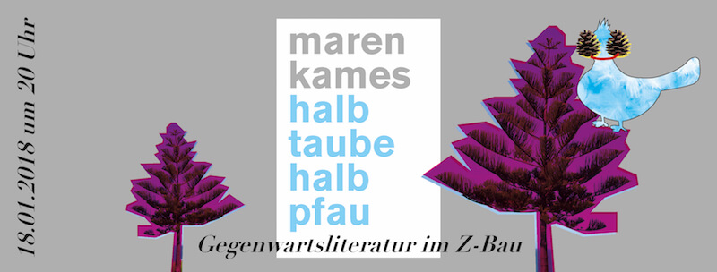 Maren Kames, halb taube halb pfau, Lesung im Z-Bau Nürnberg, 18.01.2017