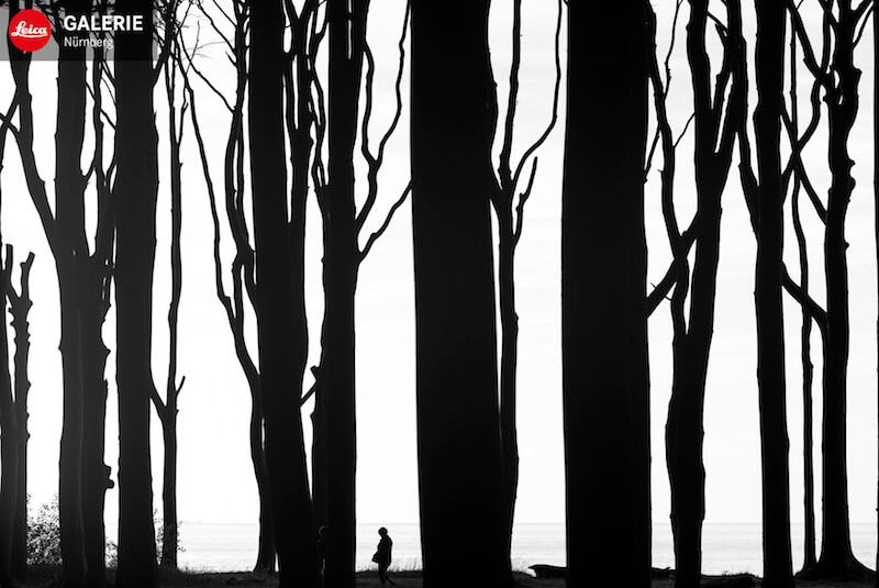 Norbert Rosing: Mein wildes Deutschland, Leica Galerie Nürnberg