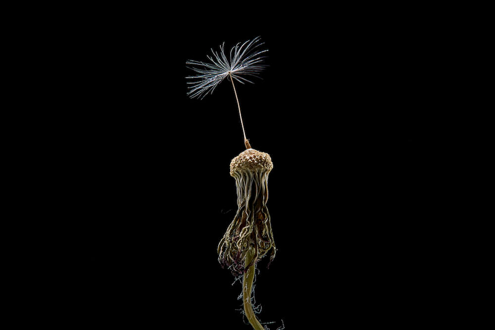 Ausstellung "schön", Foto: Jens Wegener