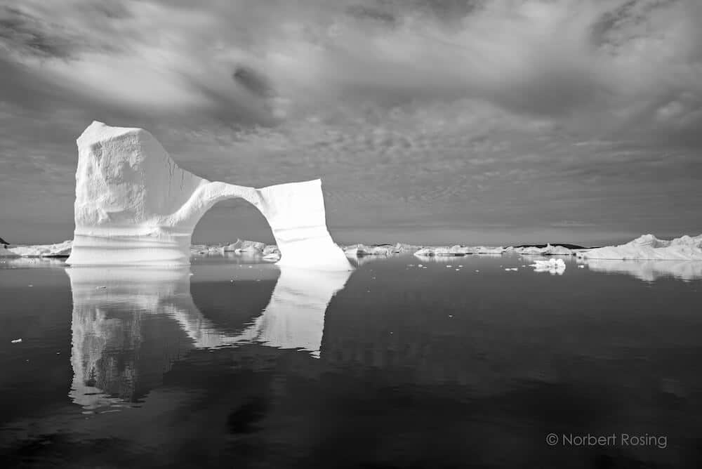 © Norbert Rosing