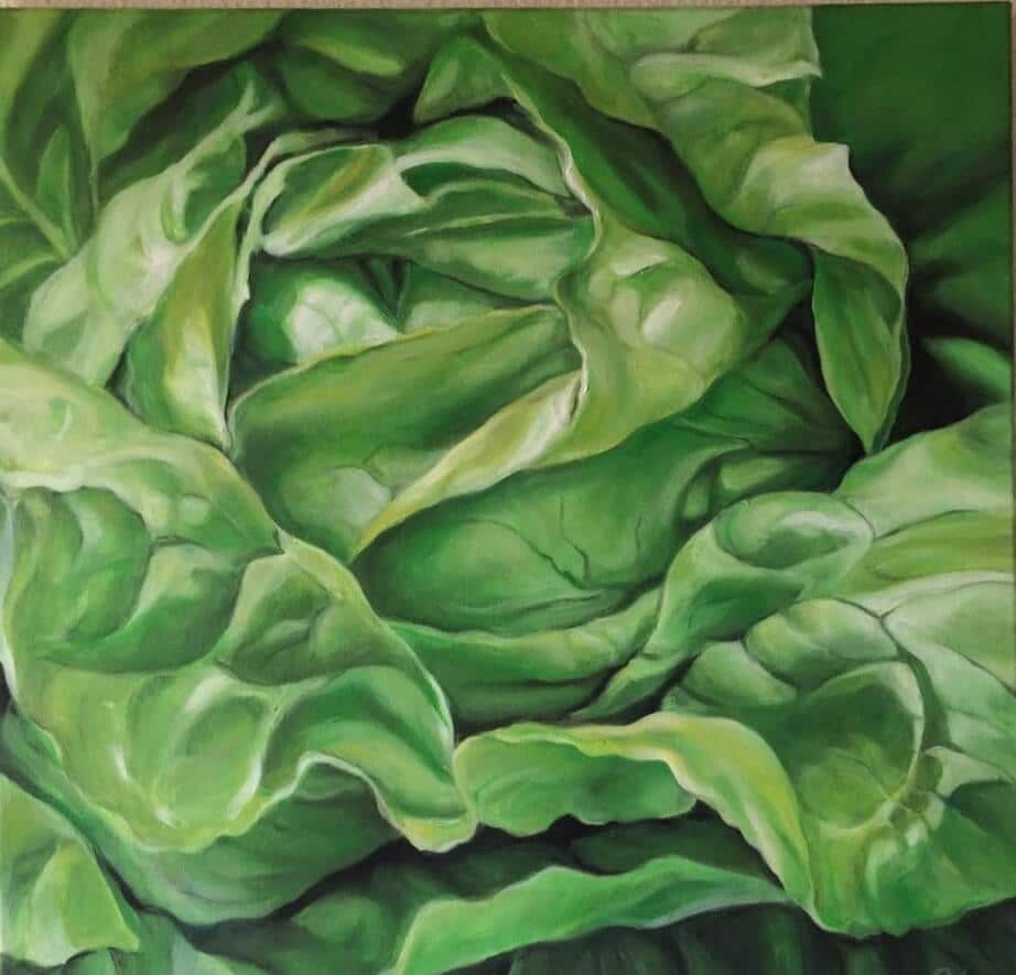 Salat, © Johanna Lang