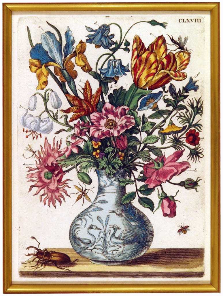 Maria Sibylla Merian (1647–1717) Ein Blumen=Krüglein, 1680 Kolorierter Kupferstich aus dem erstmals in Nürnberg erschienenen dritten Teil des Blumenbuchs. Foto: Nürnberger Buch- und Kunstantiquariat Guido Schwald und Christoph Müdsam GbR