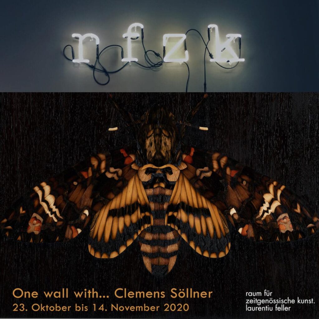 One Wall with ... Clemens Söllner im rfzk - raum für zeitgenössische Kunst. Laurentiu Feller