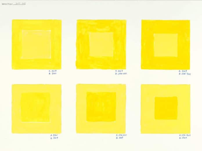 He Xiangyu Research on Yellow (2015-2016) pencil, acrylic on paper 31 x 41cm