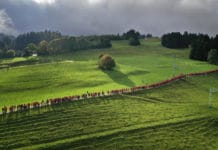 Pressefoto Bayern 2019 im Museum Industriekultur in Nürnberg Bildnachweis: Karl-Josef Hildenbrand
