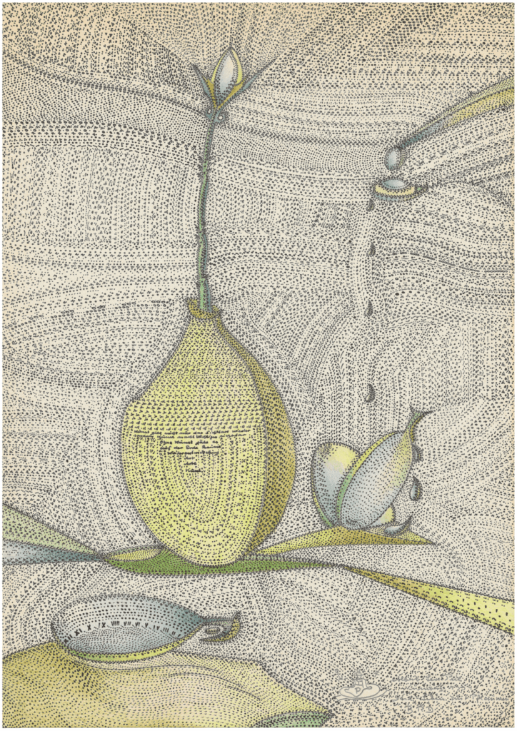 Albert Leo Peil, Stil-Leben mit Pflaumen, 1994, Tusche, Farbstift, Bleistift auf Papier, 29,5 x 21 cm, Foto: kunst galerie fürth
