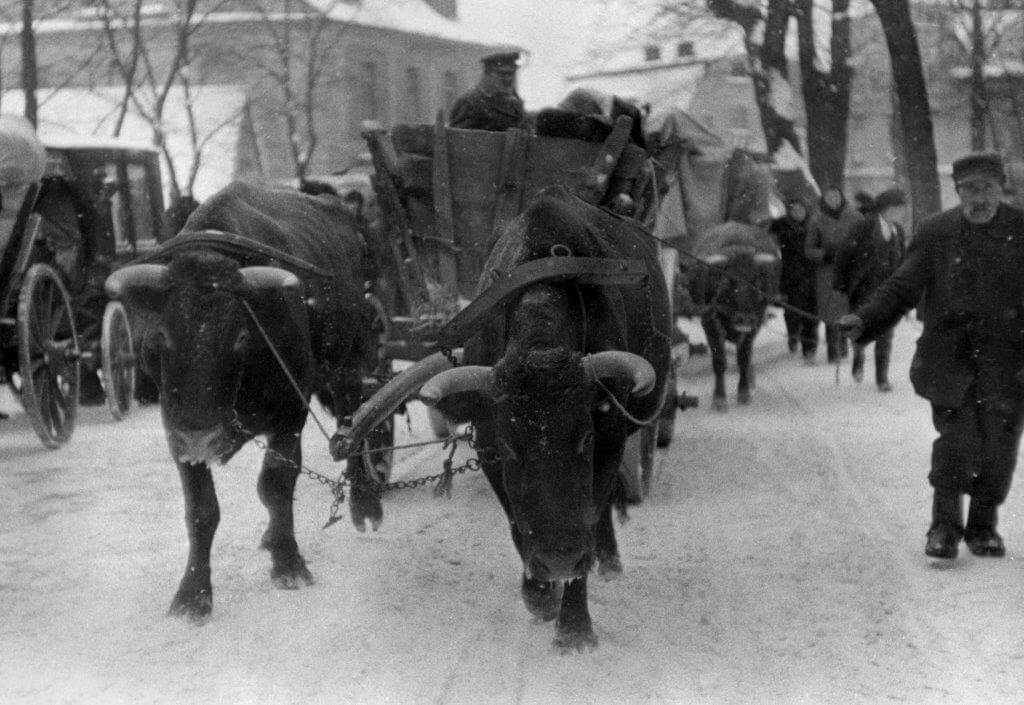 Fotoserie Flucht aus Schlesien 1945: Die historisch bedeutsamen Fotografien von Hanns Tschira sind seltene Zeugnisse der Flucht. Sie entstanden im Januar 1945 und dokumentieren einen Flüchtlingstrek in Schlesien. Die Fotografien werden im Museum Grimma bei Leipzig aufbewahrt.“ Foto: Hans Tschira, Museum Grimma