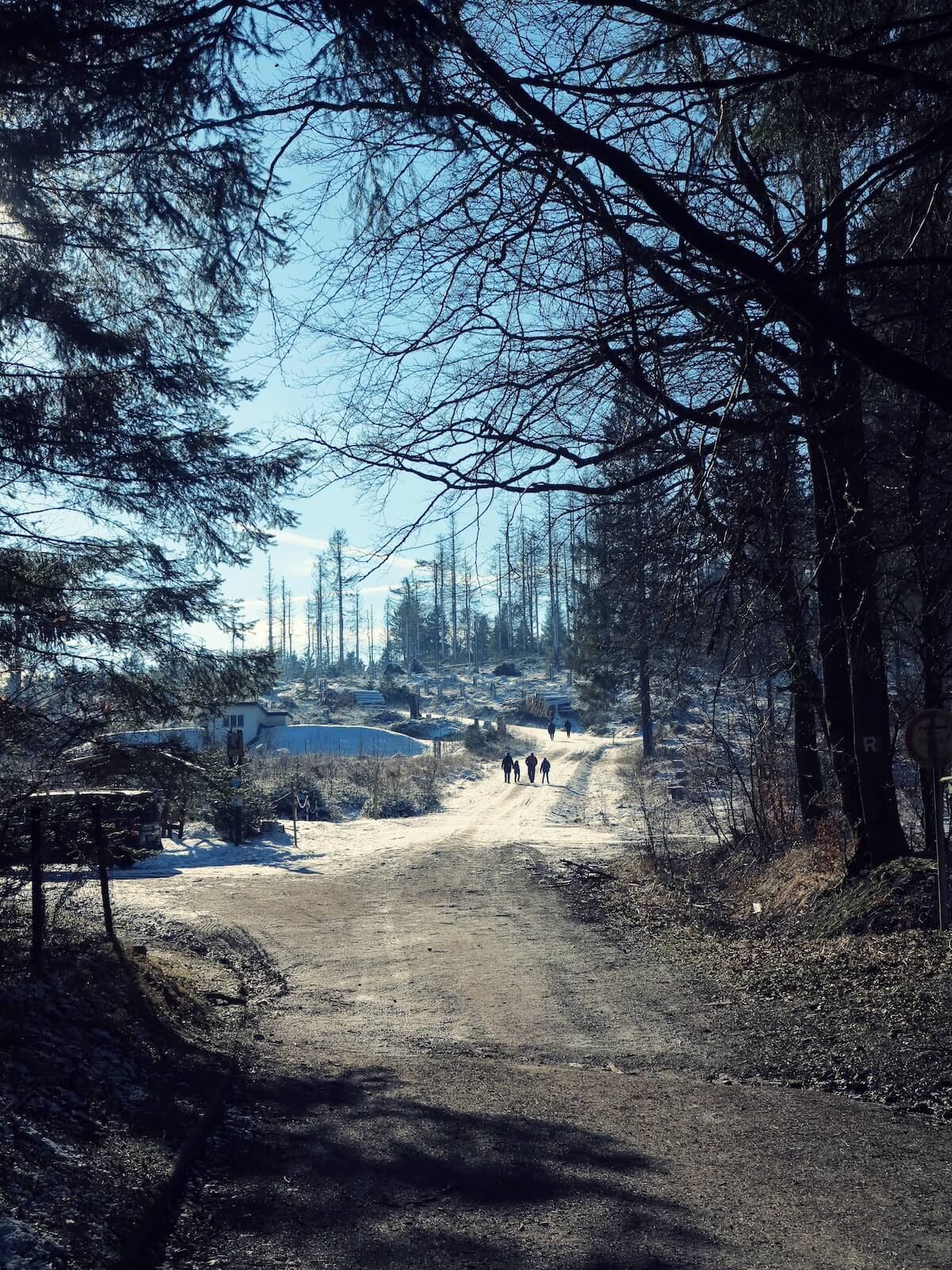 Masserberg, Rennsteig, Foto: Marc Peschke