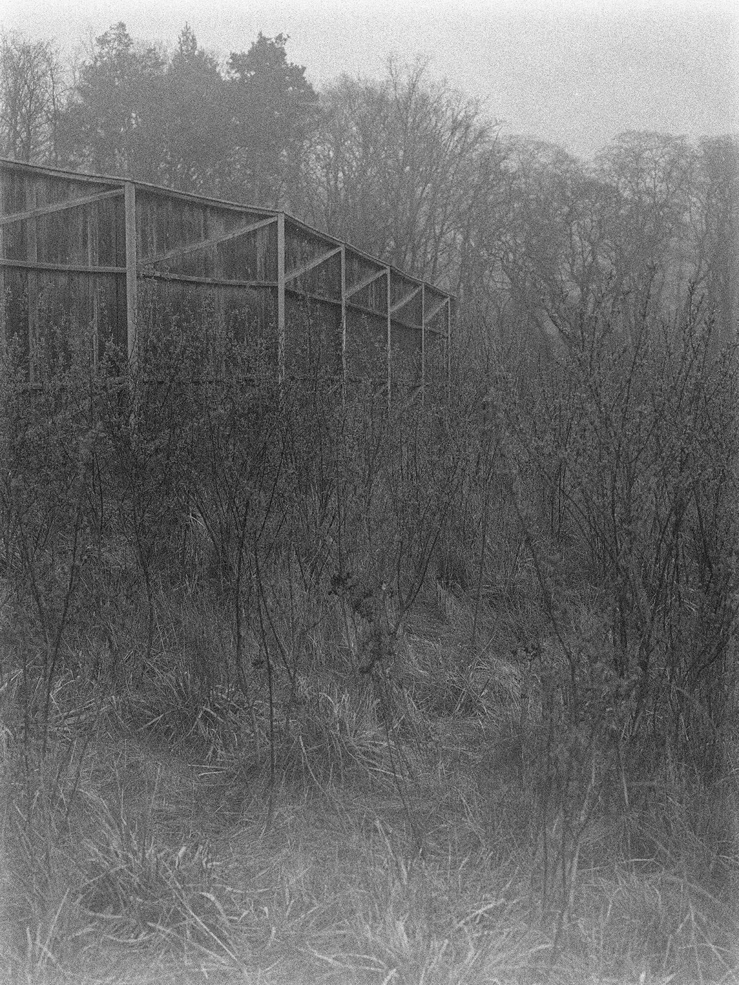 Foto: Rebecca Schwarzmeier