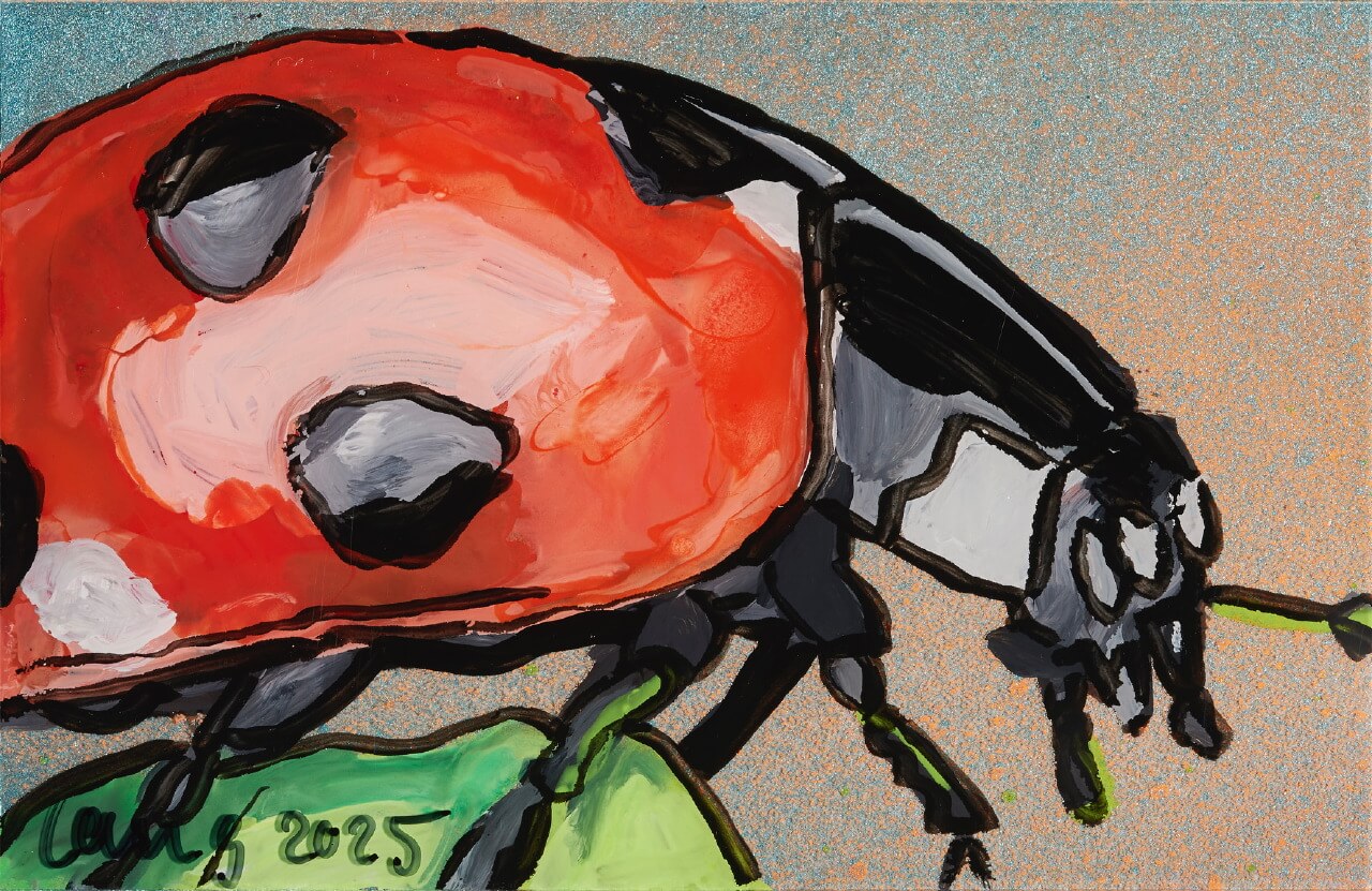 Lisa Lang: Marienkaefer