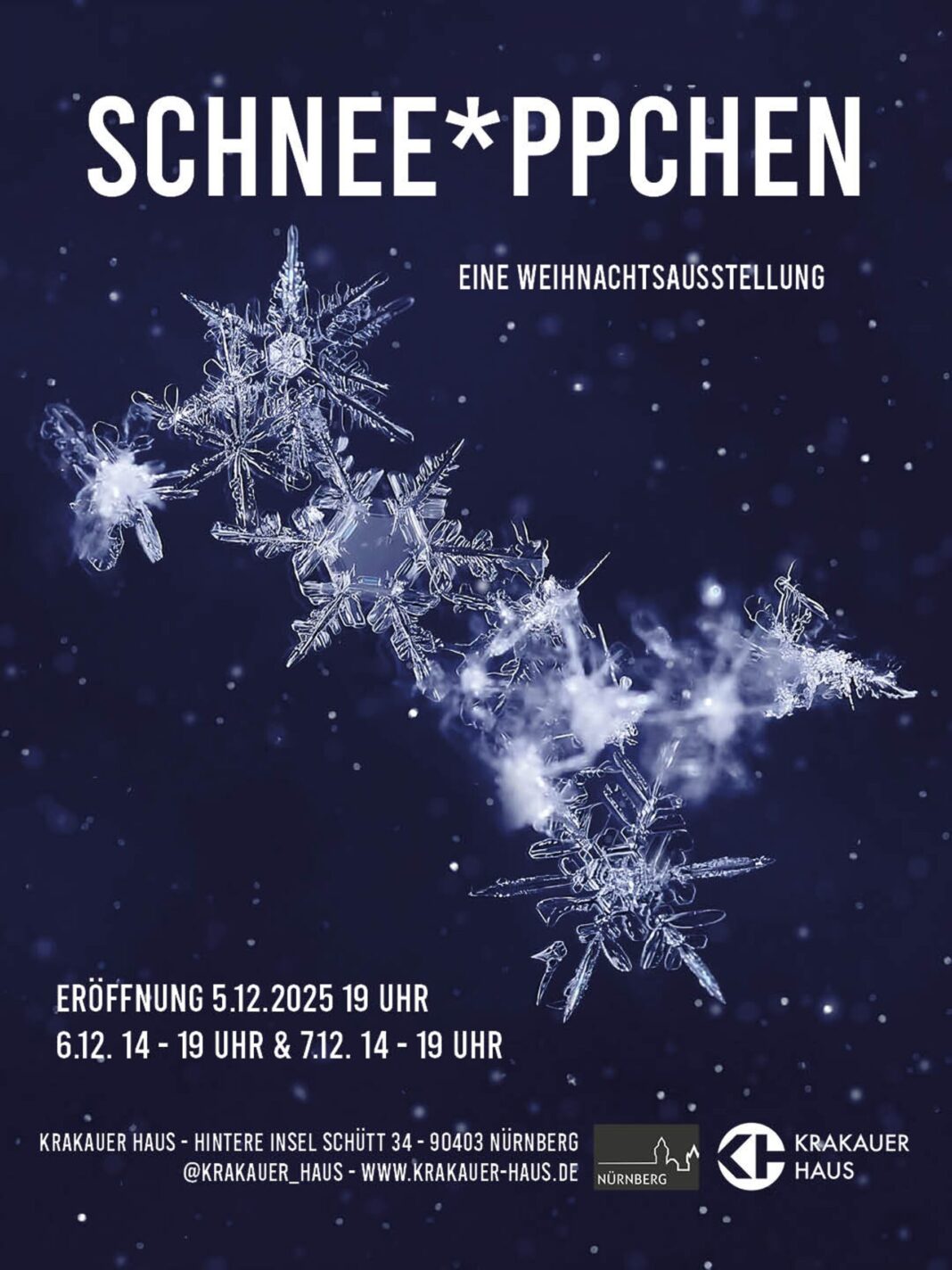 Schnee*ppchen - eine Weihnachtsausstellung im Krakauer Haus