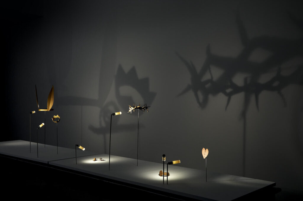 David Bielander, CHIAROSCURO, Courtesy Galerie Zink, Fotos: Erich Spahn