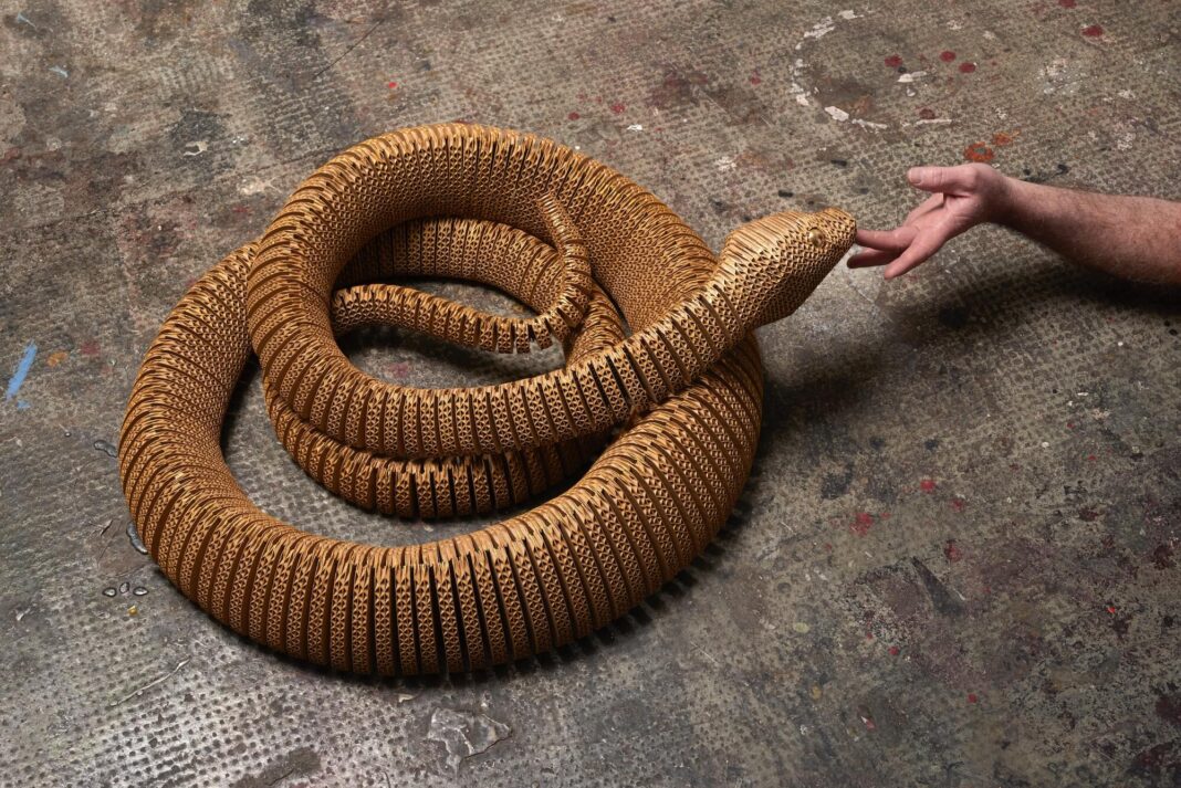 DAVID BIELANDER – CHIAROSCURO