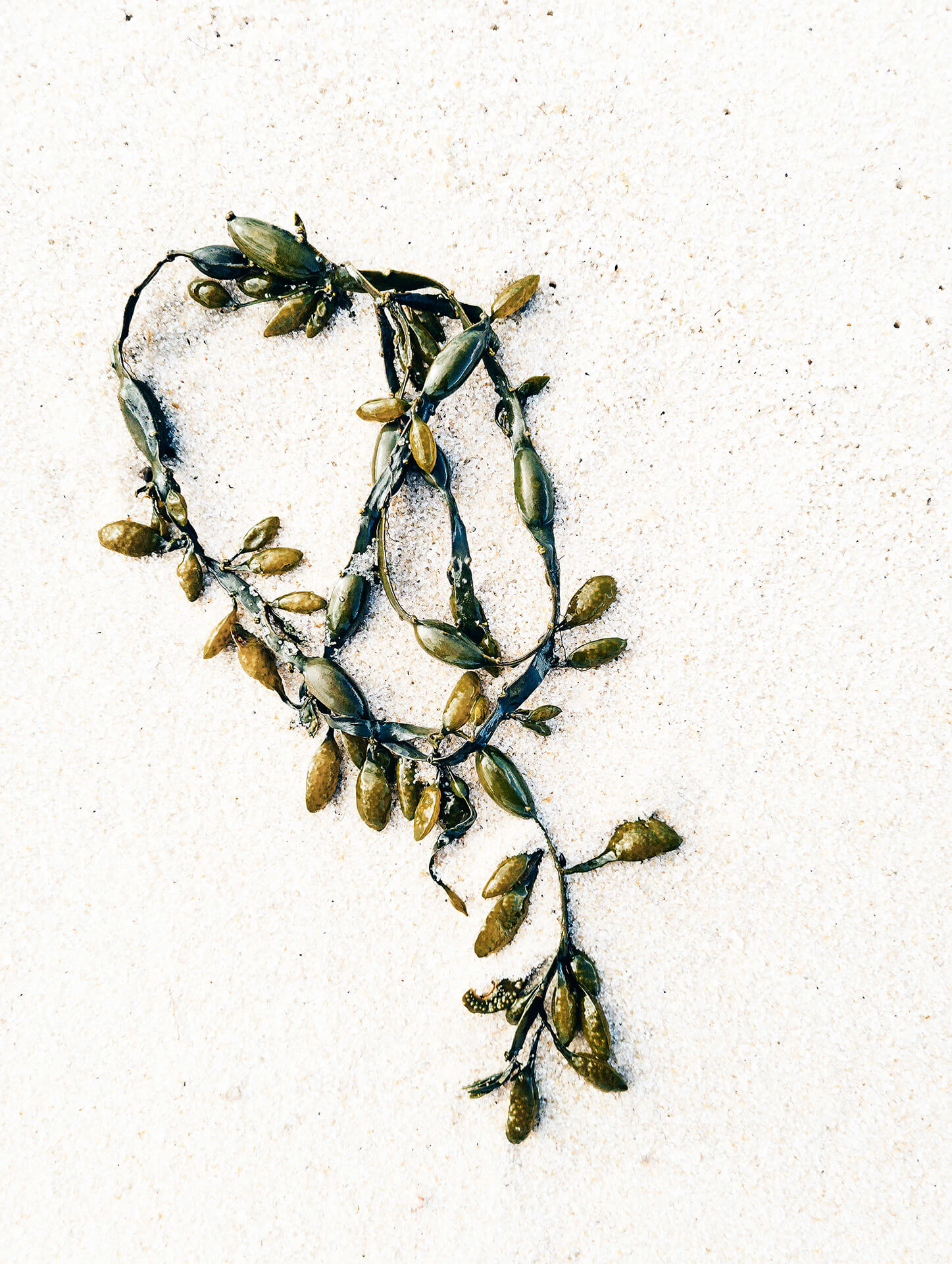 Foto: Joachim Lindner