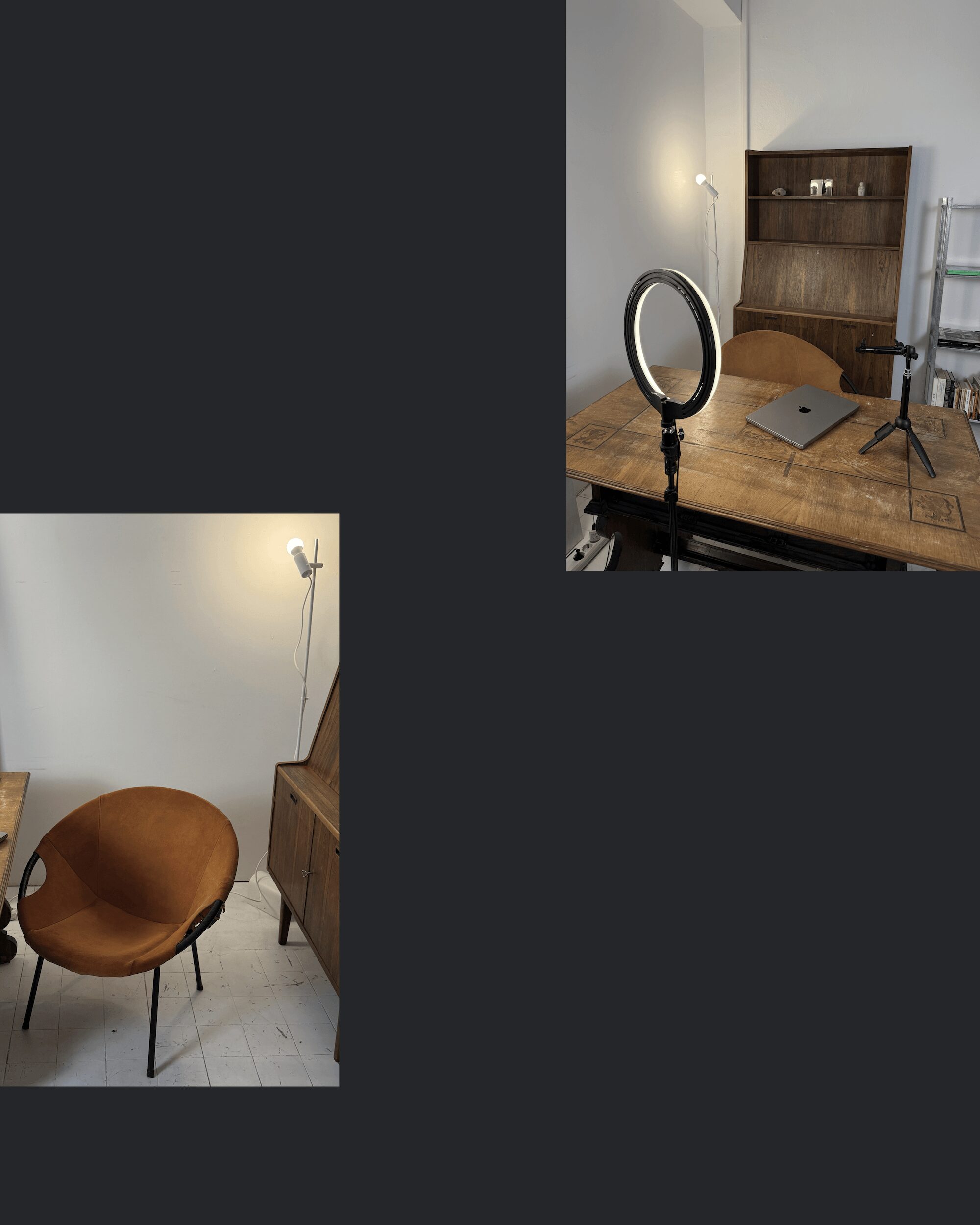 escART - Aniela Guse