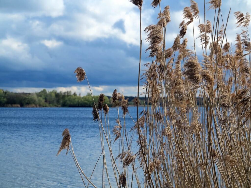 Rothsee, Foto: Marc Peschke