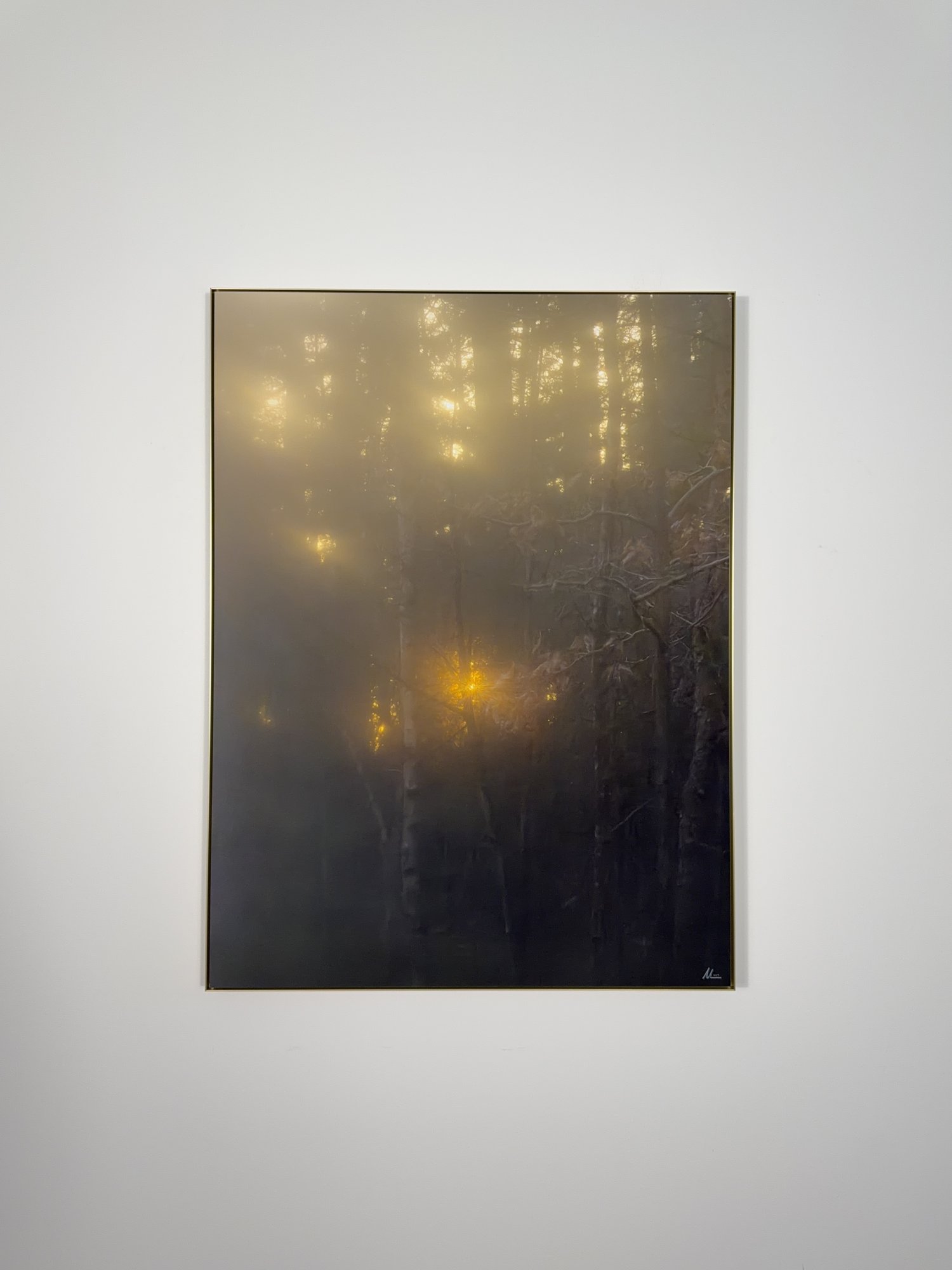 Fotografie eines Waldes im Nebel, in dem warme gelbe Lichtpunkte zwischen dunklen Baumstämmen leuchten